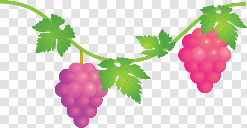 Grape Grapes Fruit Transparent PNG