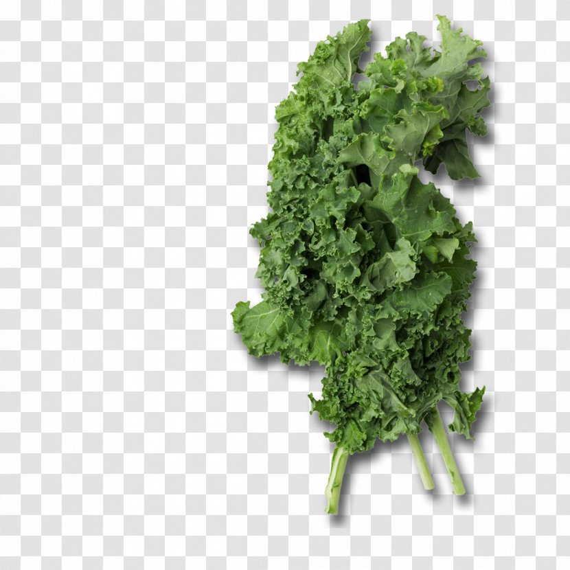 Smoothie Lacinato Kale Collard Greens Leaf Vegetable - Spring - Chou Transparent PNG