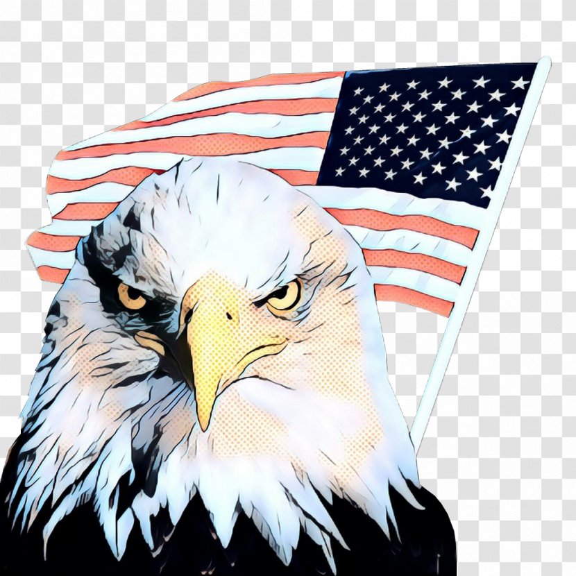 American Flag Background - Bird Of Prey - Wildlife Transparent PNG