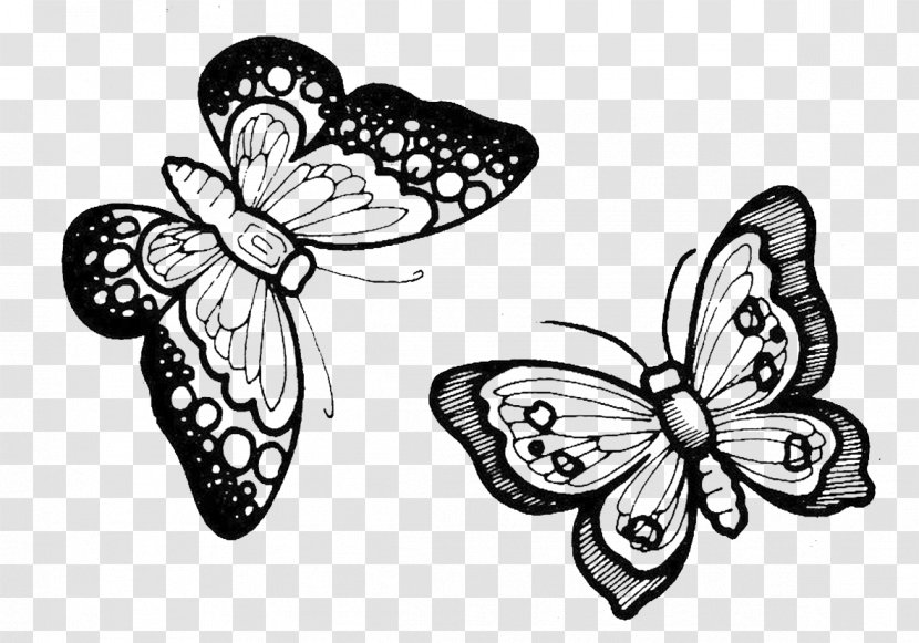 Monarch Butterfly Moth Pterygota Paper Butterflies - Invertebrate - Aak Transparent PNG