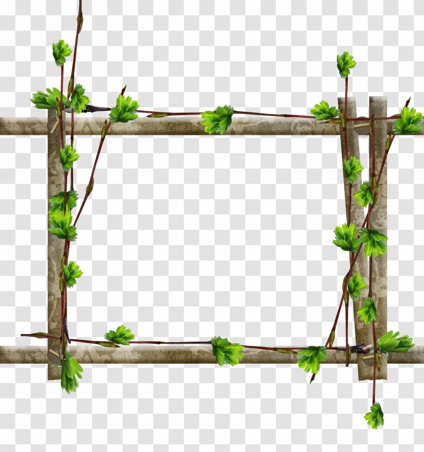 Picture Frames Tree Window Wood Branch - Flowering Plant - Cute Frame Transparent PNG