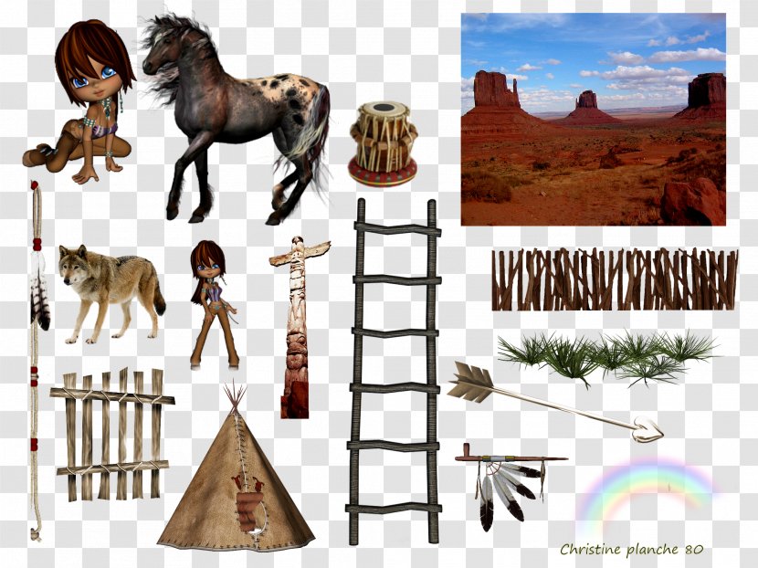 Mane Mustang Monument Valley Pack Animal Park Transparent PNG