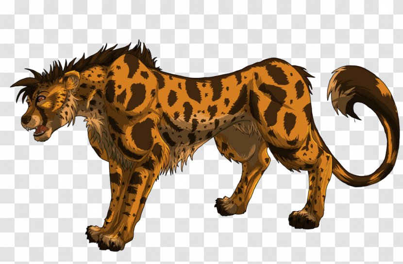 King Cheetah Lion Big Cat - Carnivores Transparent PNG