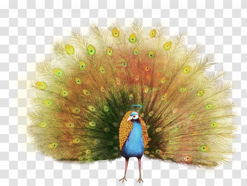 Peafowl Paper - Feather - Peacock Sticker Transparent PNG