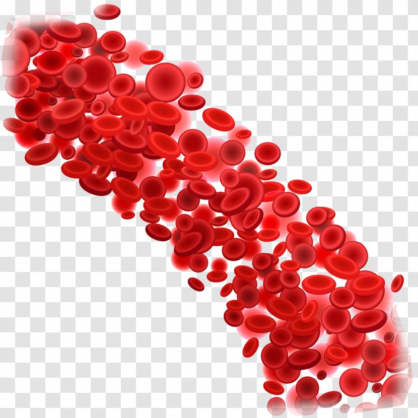 Red Blood Cell White Clip Art - Vessel - Donation Transparent PNG