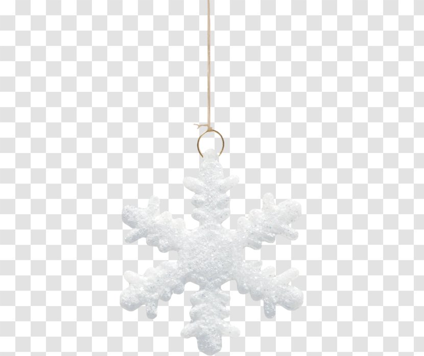 Christmas Ornament Holiday Green March New Year - 2017 Transparent PNG