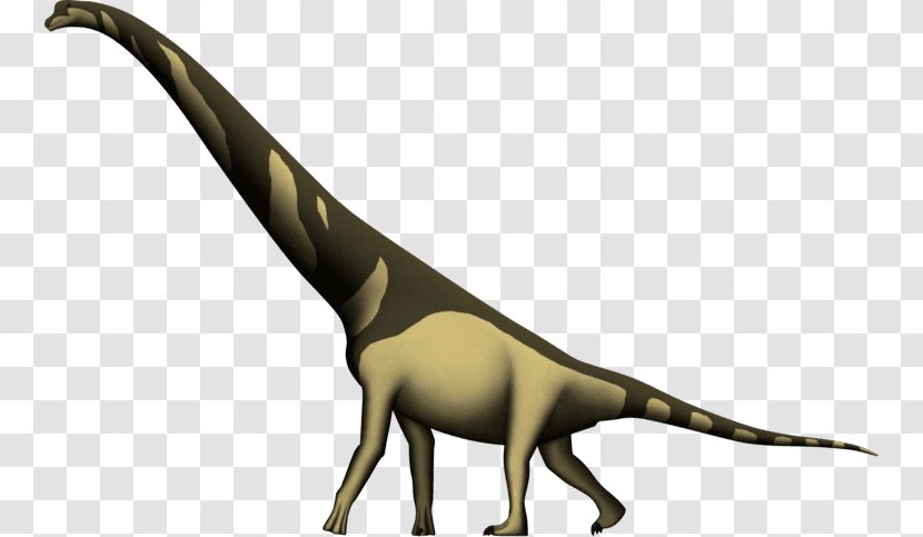 Cedarosaurus Giraffatitan Brachiosaurus Apatosaurus Dinosaur - Barremian - Diplodocus Transparent PNG