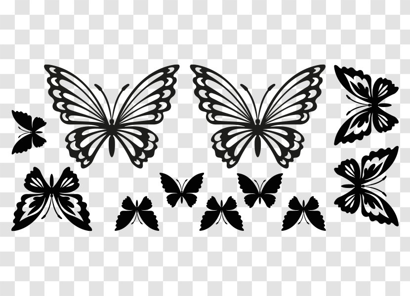 Monarch Butterfly Brush-footed Butterflies Pieridae Pattern - Monochrome - Die Molukkenkrabbe Transparent PNG