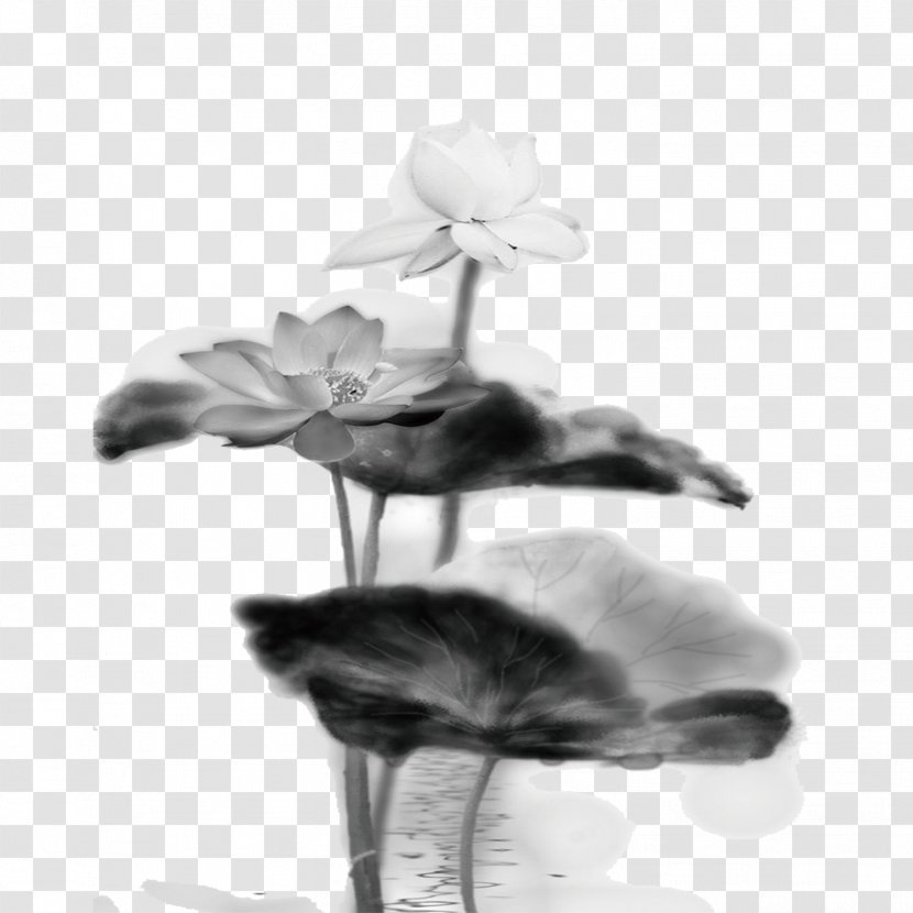 Download Clip Art - Plant - Ink Lotus Transparent PNG