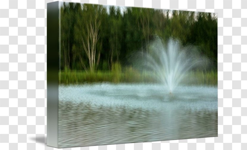 Pond Water Resources Wetland Fountain - Feature Transparent PNG