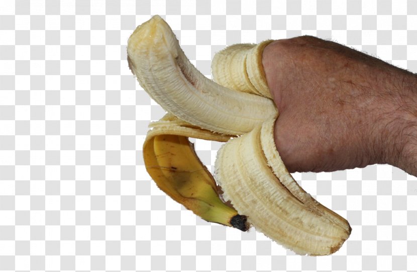 Banana Food Eating - Family Transparent PNG