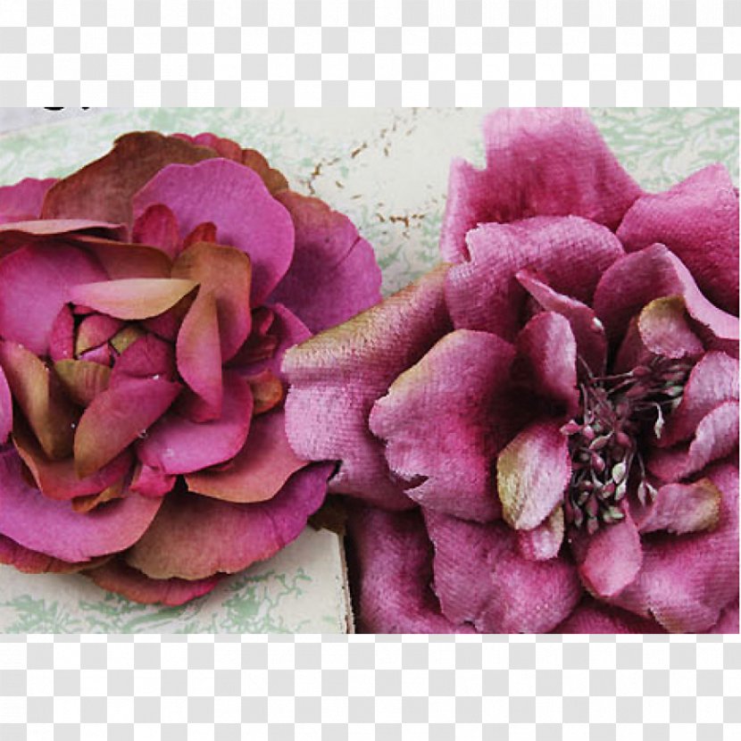 Pink M - Petal - Boquet Flower Transparent PNG