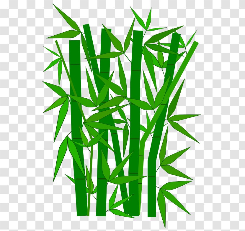 Paper Bamboo Green Clip Art - Plant Transparent PNG