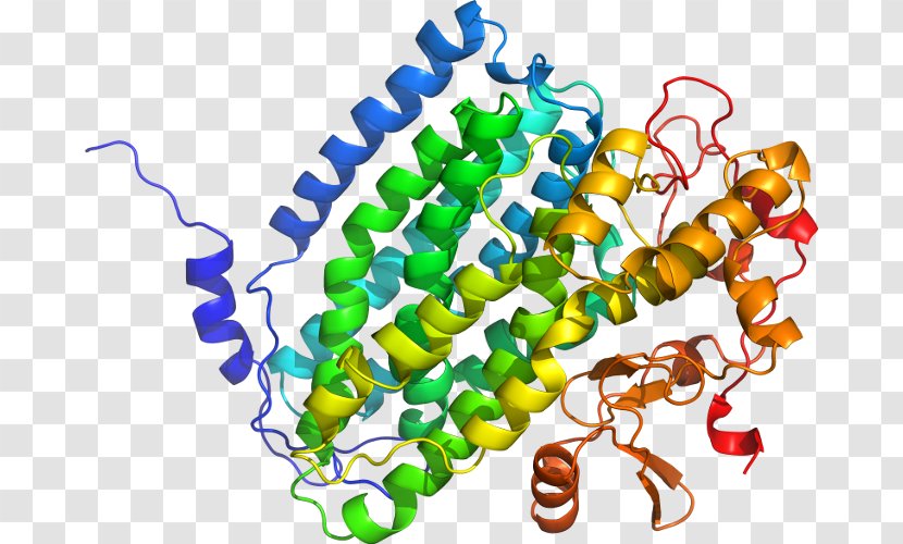 FNTB Farnesyltransferase Gene Protein Subunit Geranylgeranyltransferase Type 1 Transparent PNG