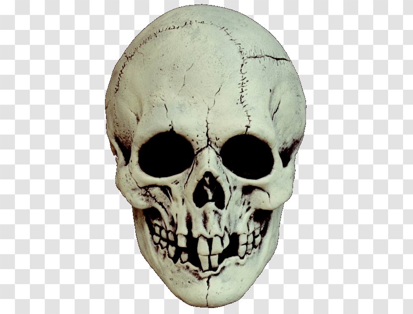 Skull Mask Costume Party Skeleton - Masked Transparent PNG