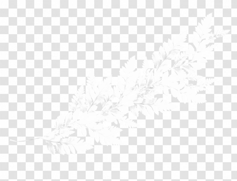 Black And White Brand Pattern - Texture - Snow Branch Transparent PNG