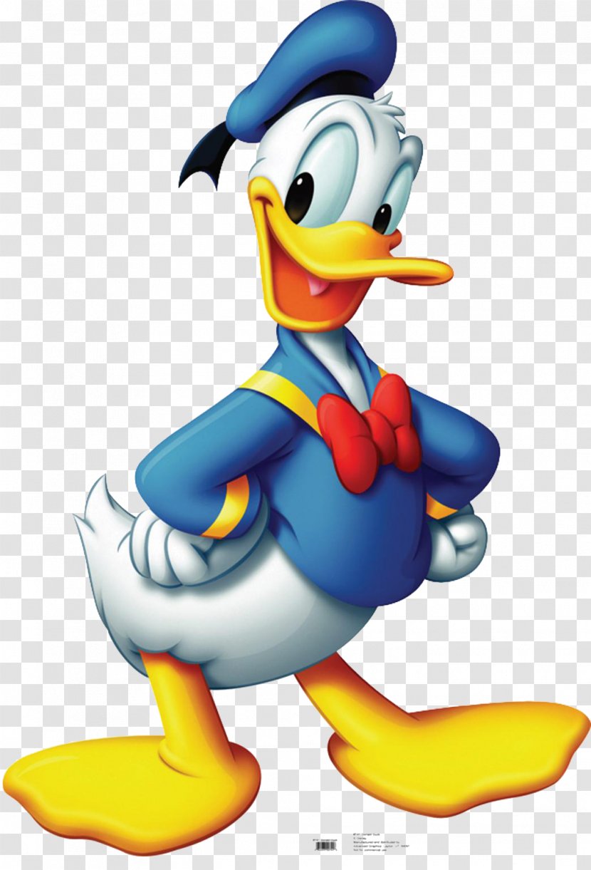 Donald Duck Daisy Mickey Mouse - Flightless Bird Transparent PNG