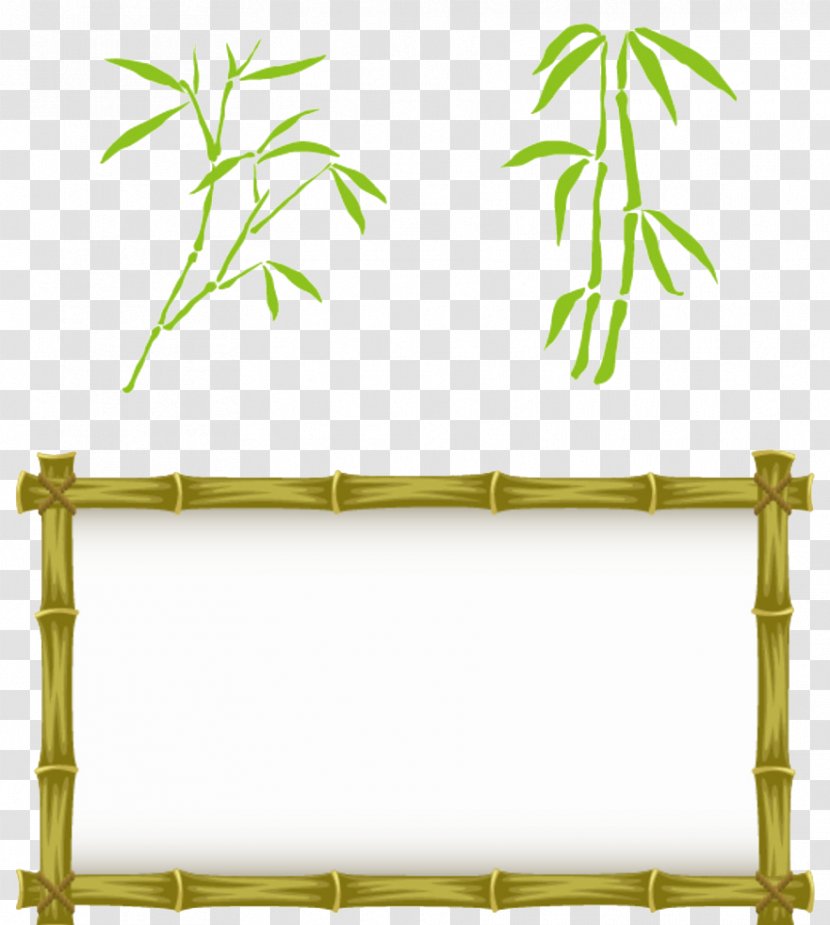 Bamboo Euclidean Vector Bamboe - Grass - Products Design Material Transparent PNG