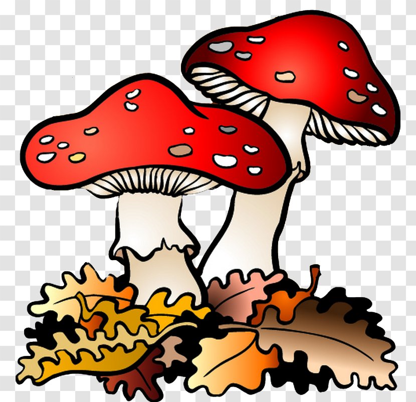 Fungus Drawing Natural Environment Mushroom Clip Art - Organism Transparent PNG
