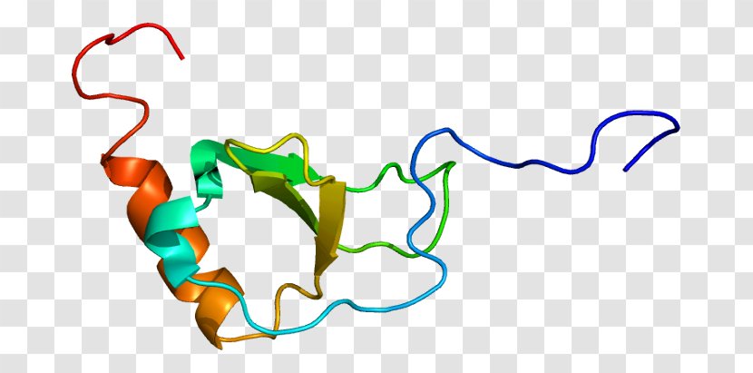 CX3CR1 CX3CL1 Chemokine Receptor Protein - Gene Transparent PNG