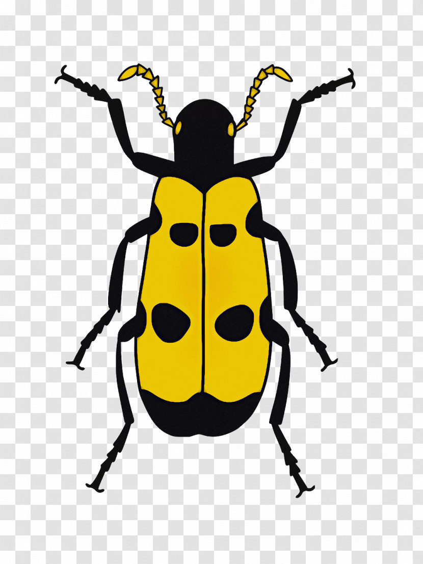 Ladybird Beetle Beetles Drawing Line Art Cartoon Transparent PNG