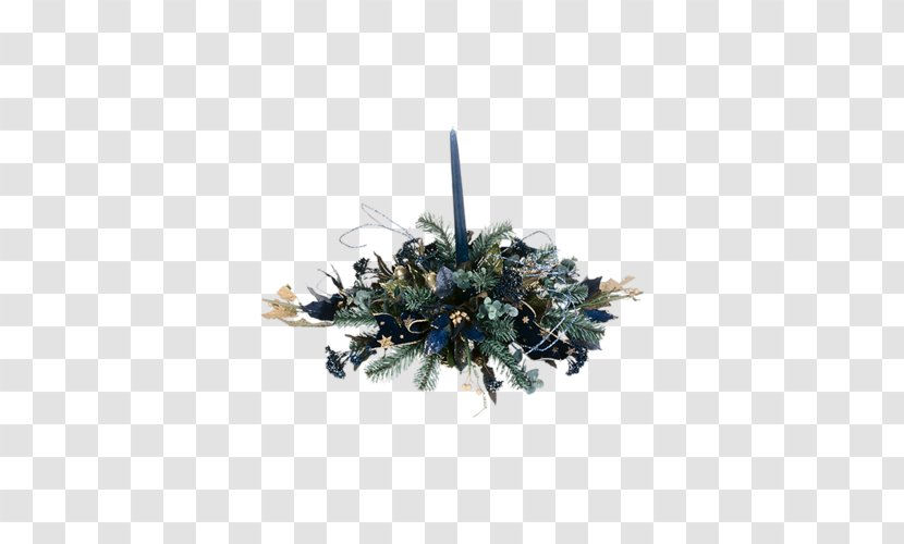 Christmas Ornament Pine Pinaceae Transparent PNG