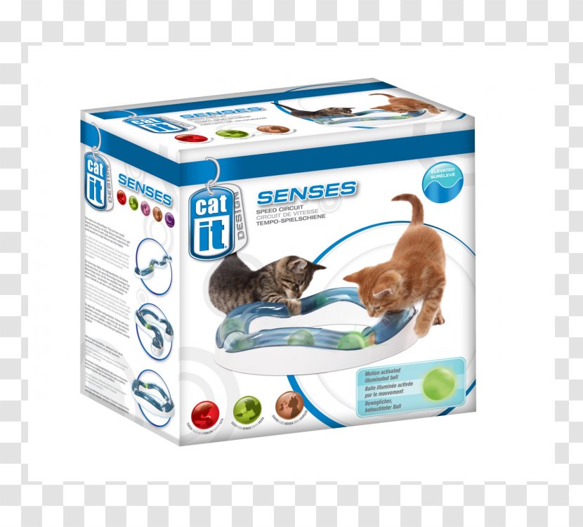Cat Play And Toys Sense Pet Sound Transparent PNG