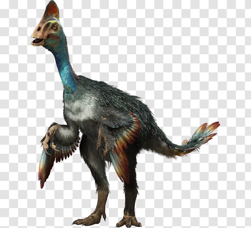 Chirostenotes Parksosaurus Wannanosaurus Quetzalcoatlus Protoceratops - Fauna - Dino Transparent PNG
