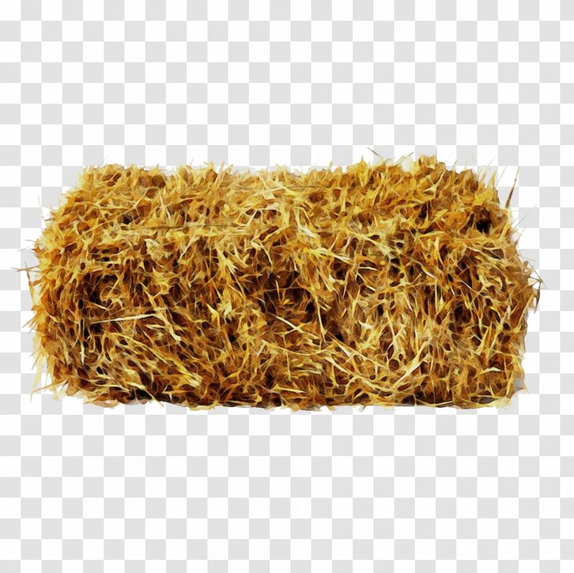 Hay Straw Plant - Paint Transparent PNG