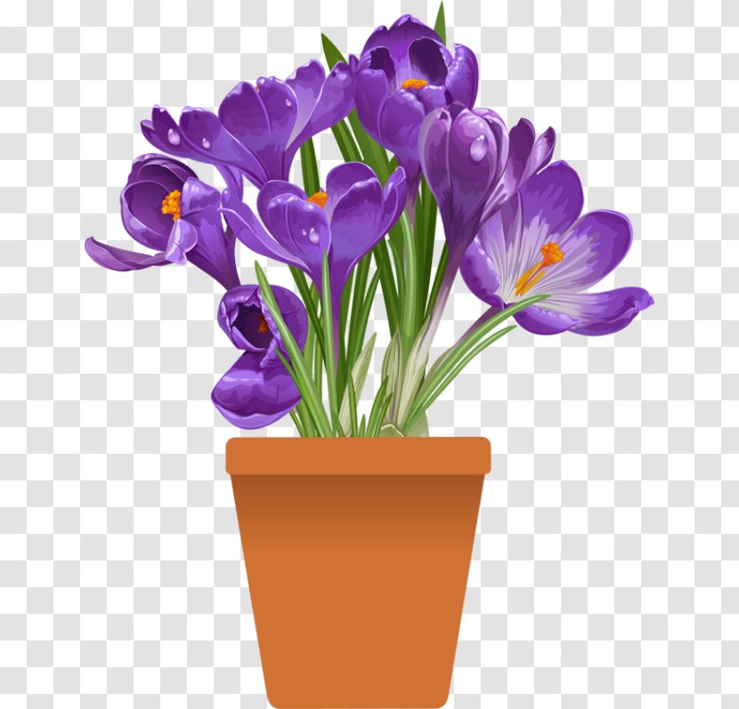 Plant Flowerpot Clip Art - Herbaceous - Flower Pot Transparent PNG