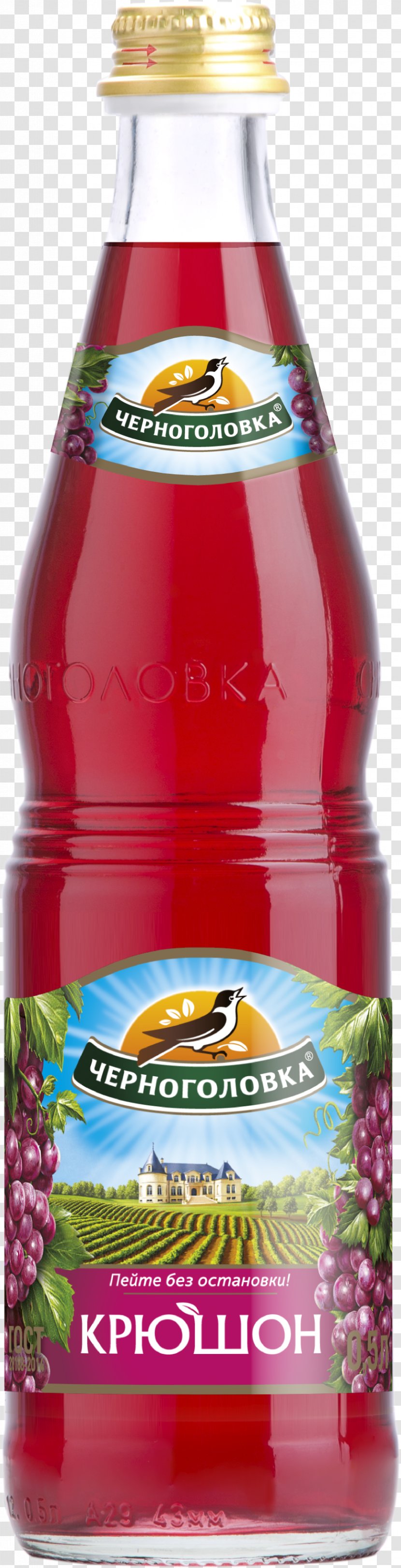 Fizzy Drinks Carbonated Water Lemonade Baikal Tarhun Transparent PNG