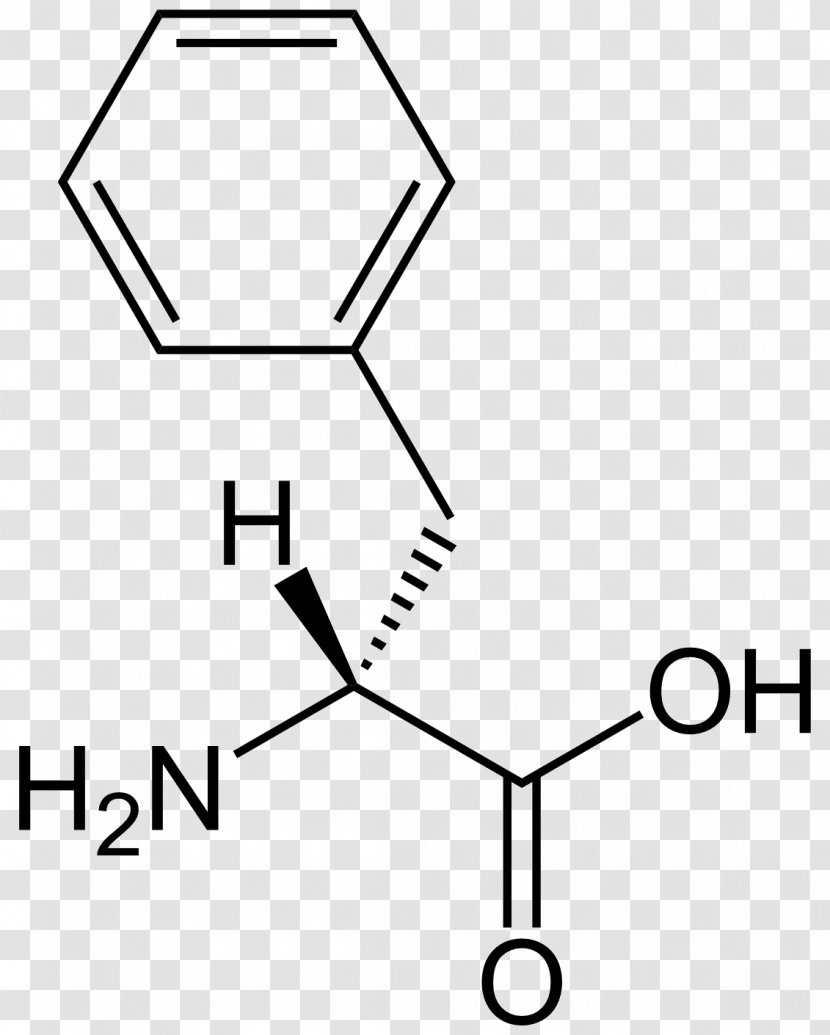 Phenylalanine Amino Acid Leucine Tyrosine Methionine - Racemase - D Transparent PNG