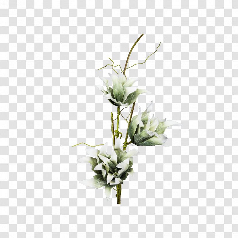 Floral Design Cut Flowers Vase Ornamental Plant - Flower Bouquet Transparent PNG