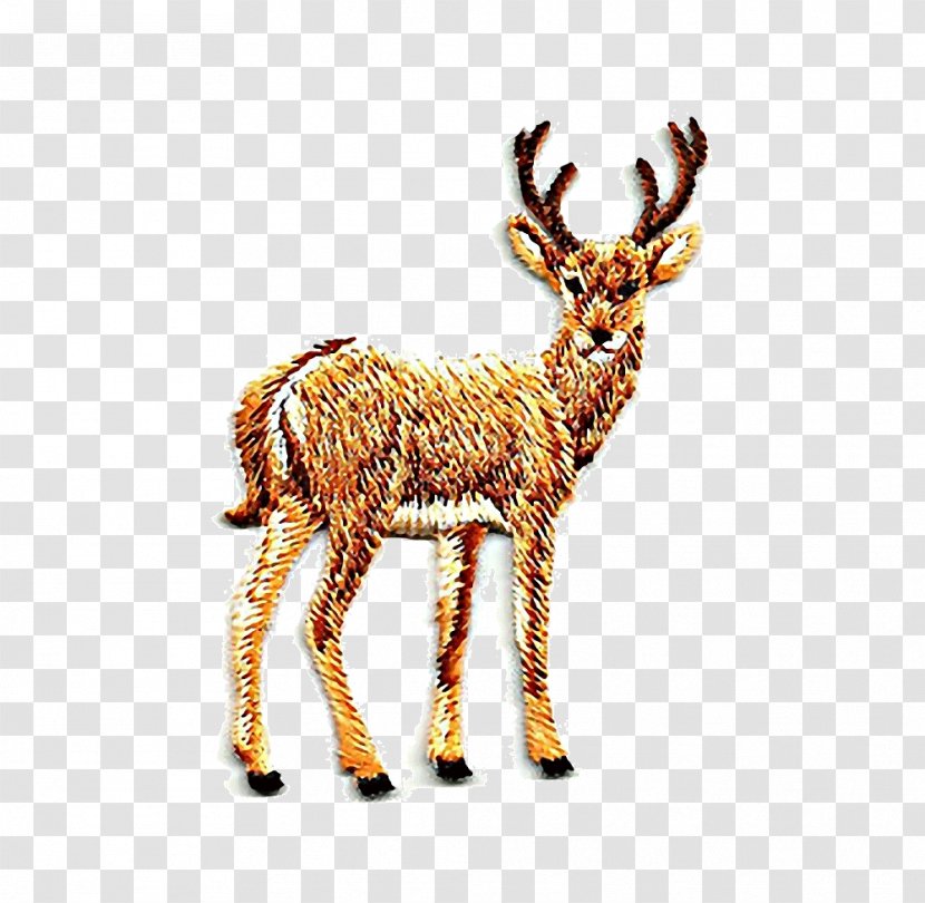 Reindeer Rennes Drawing - Wildlife - Cartoon Transparent PNG