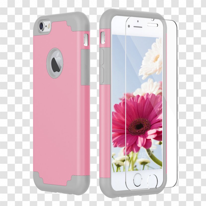 Flower Transvaal Daisy Rose Real-time Polymerase Chain Reaction Tulip - Mobile Phone - Case Photos Transparent PNG