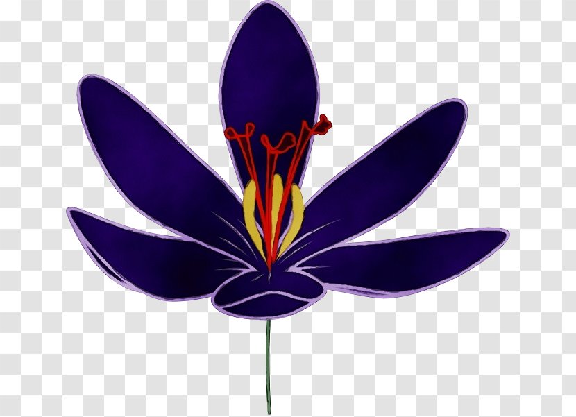 Flower Purple Petal Plant Violet - Flowering - Iris Family Transparent PNG
