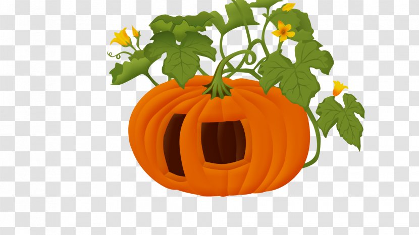 Personalized Pumpkin - Calabaza - Vecteur Transparent PNG