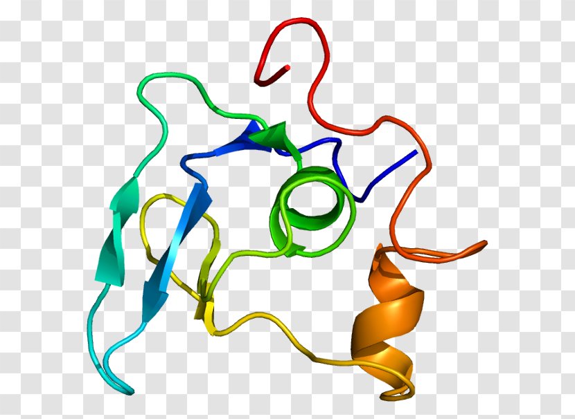 Fibrillin 1 Protein Marfan Syndrome Online Mendelian Inheritance In Man - Watercolor - Cellular Transparent PNG