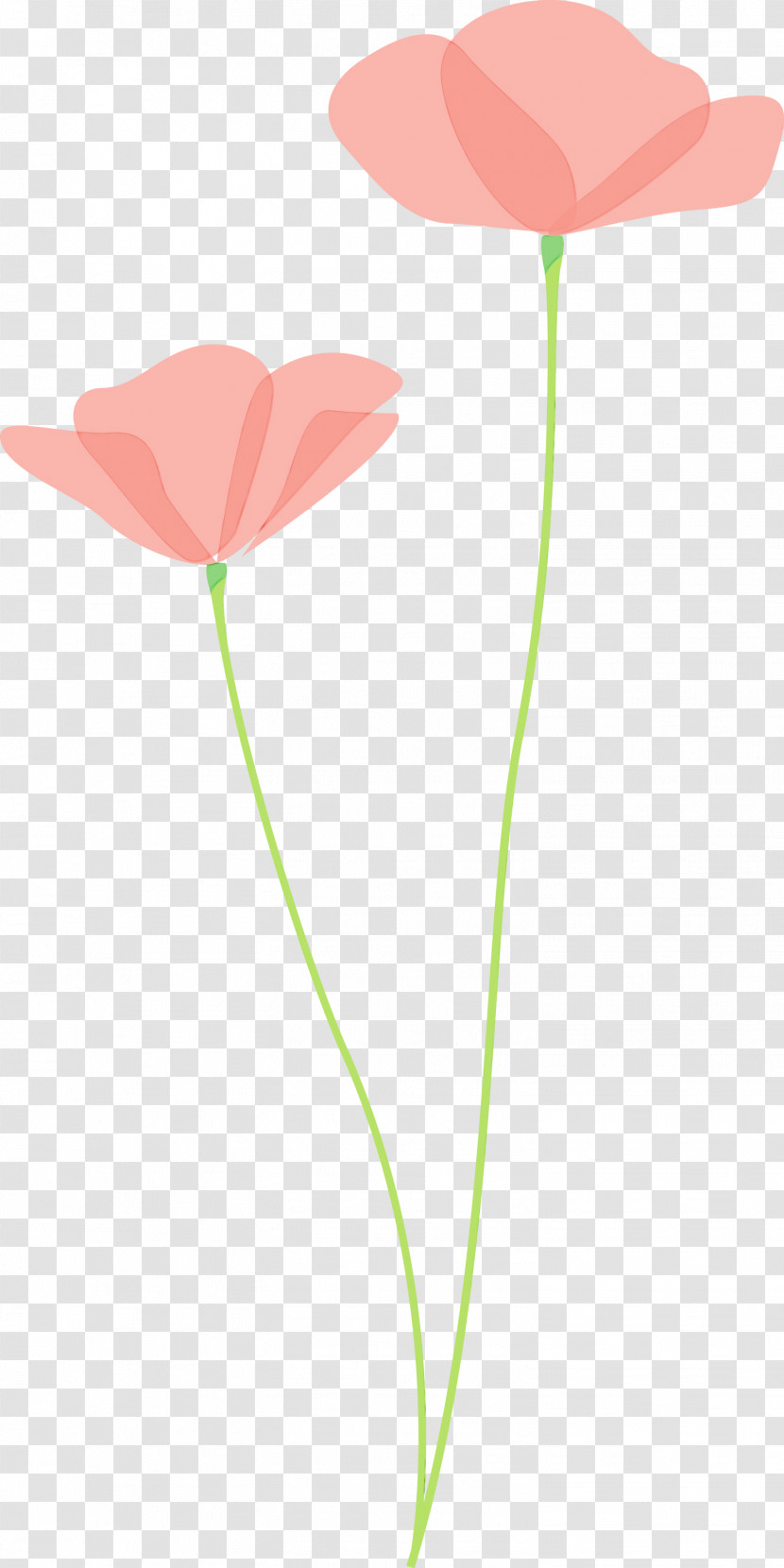 Flower Plant Stem Plant Leaf Pedicel Transparent PNG