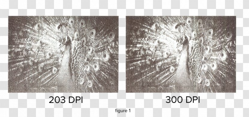 Paper Glasbild Work Of Art Museum Font - Artwork - 300 Dpi Transparent PNG