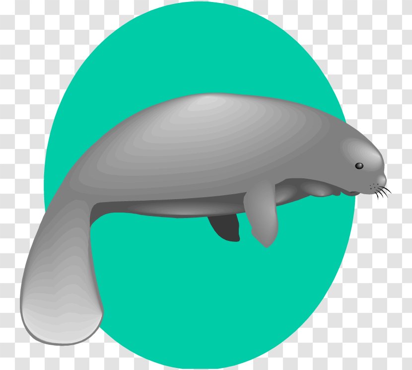 Clip Art Openclipart Manatee Image Free Content - Common Bottlenose Dolphin - Manatees Background Transparent PNG
