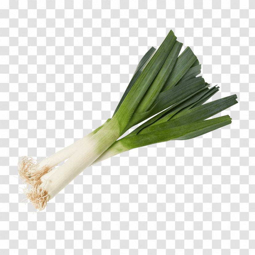 Leek Welsh Onion Aldi Vegetable Product - Plant Stem Transparent PNG