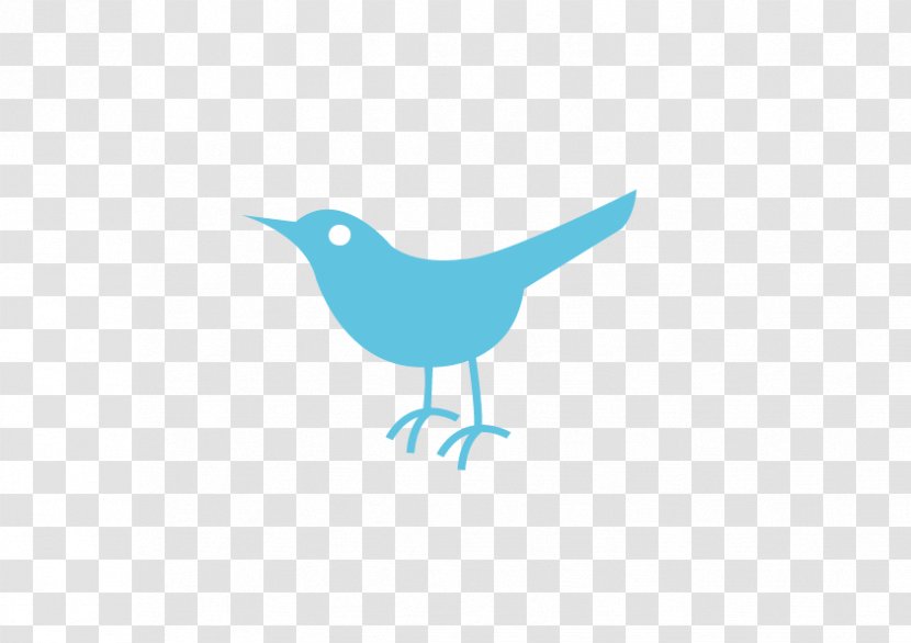 Bird Logo Beak La Talla Perfecta Transparent PNG