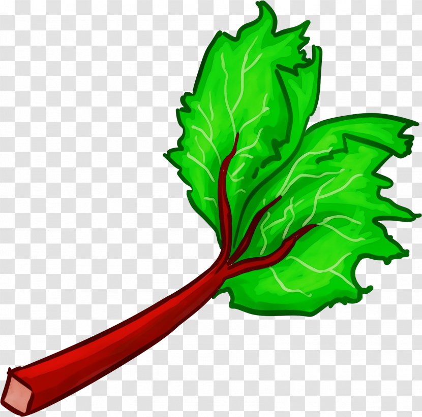 Leaf Green Vegetable Chard - Herb Plant Transparent PNG