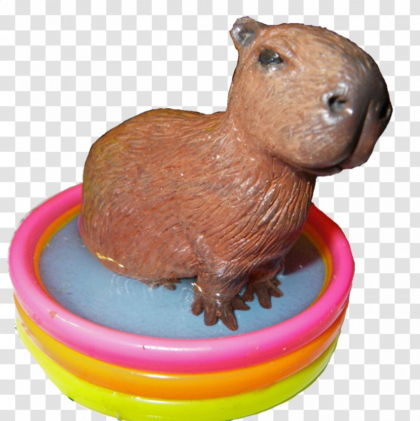 Capybara Rodent Guinea Pig Snout Animal - Nose - Colorful Chin Transparent PNG