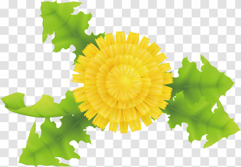 Dandelion Transparent PNG