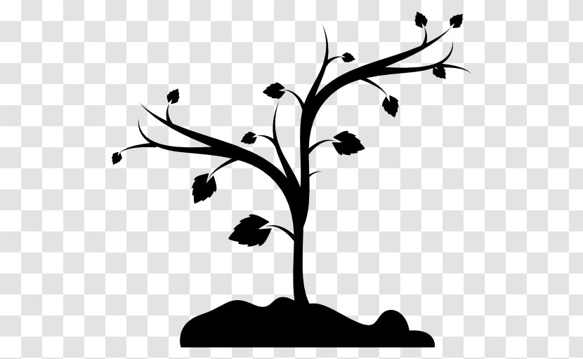 Fruit Tree Shape Branch Transparent PNG