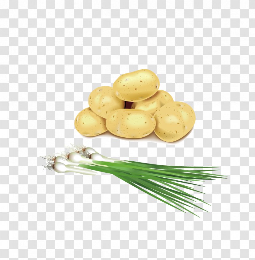 Potato Garlic - Ifwe - And Potatoes Vector Material Transparent PNG