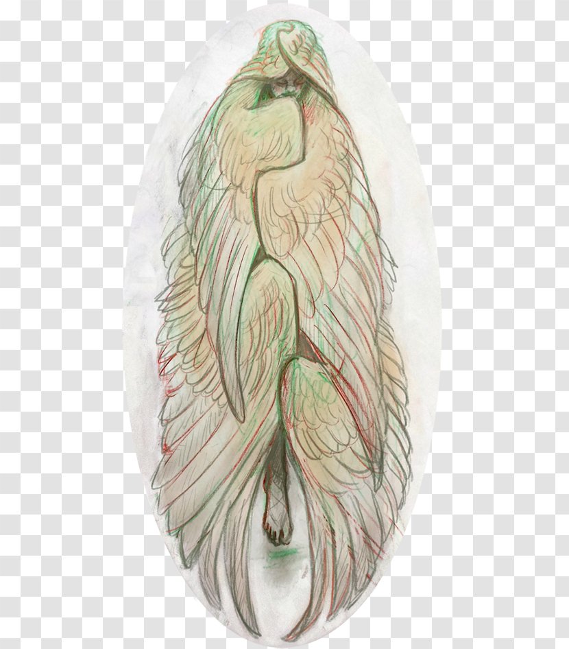 Drawing /m/02csf Feather Legendary Creature - Chicken Meat Transparent PNG