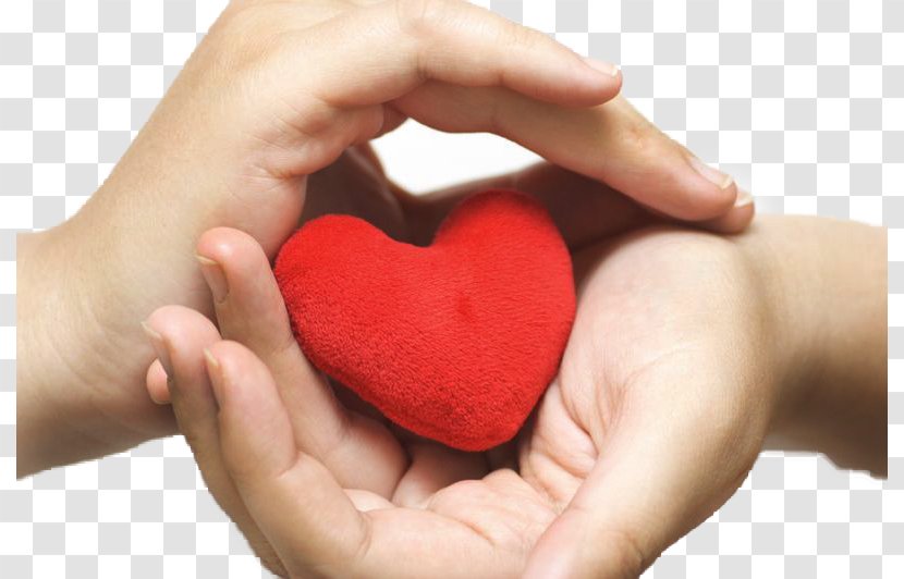Royalty-free Heart Photography - Thumb Transparent PNG